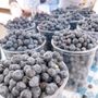 Photo of Davis Farmers Market