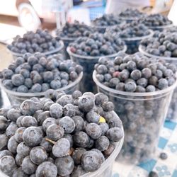 Davis Farmers Market - Blueberries