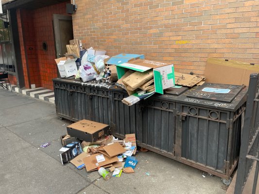 Café Kitsuné Boerum Hill by null