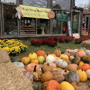 Krop's Crops - Store front - Nurseries & Gardening Near Me - Great Falls, Virginia