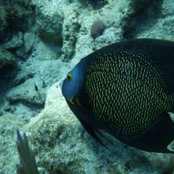 Key Largo Dive Center