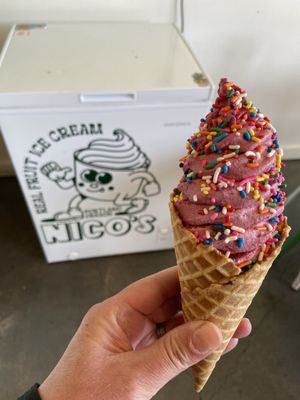 Nico's Ice Cream by null