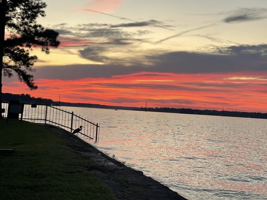 Breakwater Grille by null