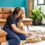 Photo of Verdigris Pet Hospital and Emergency Care
