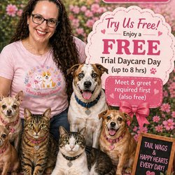 Dori’s Doggie Domain - Come do a free trial, to make sure that it's a good fit!