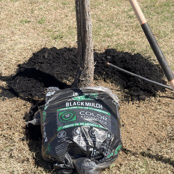 Yard Dad Services - Lawn Services Near Me Yard Dad Services - Lawn Services Near Me