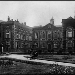 Bluecoat Garden - From www.thebluecoat.org.uk