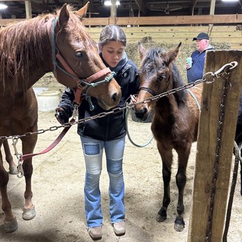 Wolcott Farms - My daughters, two new horses from work at Farms was special things to Tina and her daughter Bryttany - Horseback Riding Near Me - Warsaw, New York