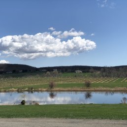 View of the pond on the property. View of the pond on the property.