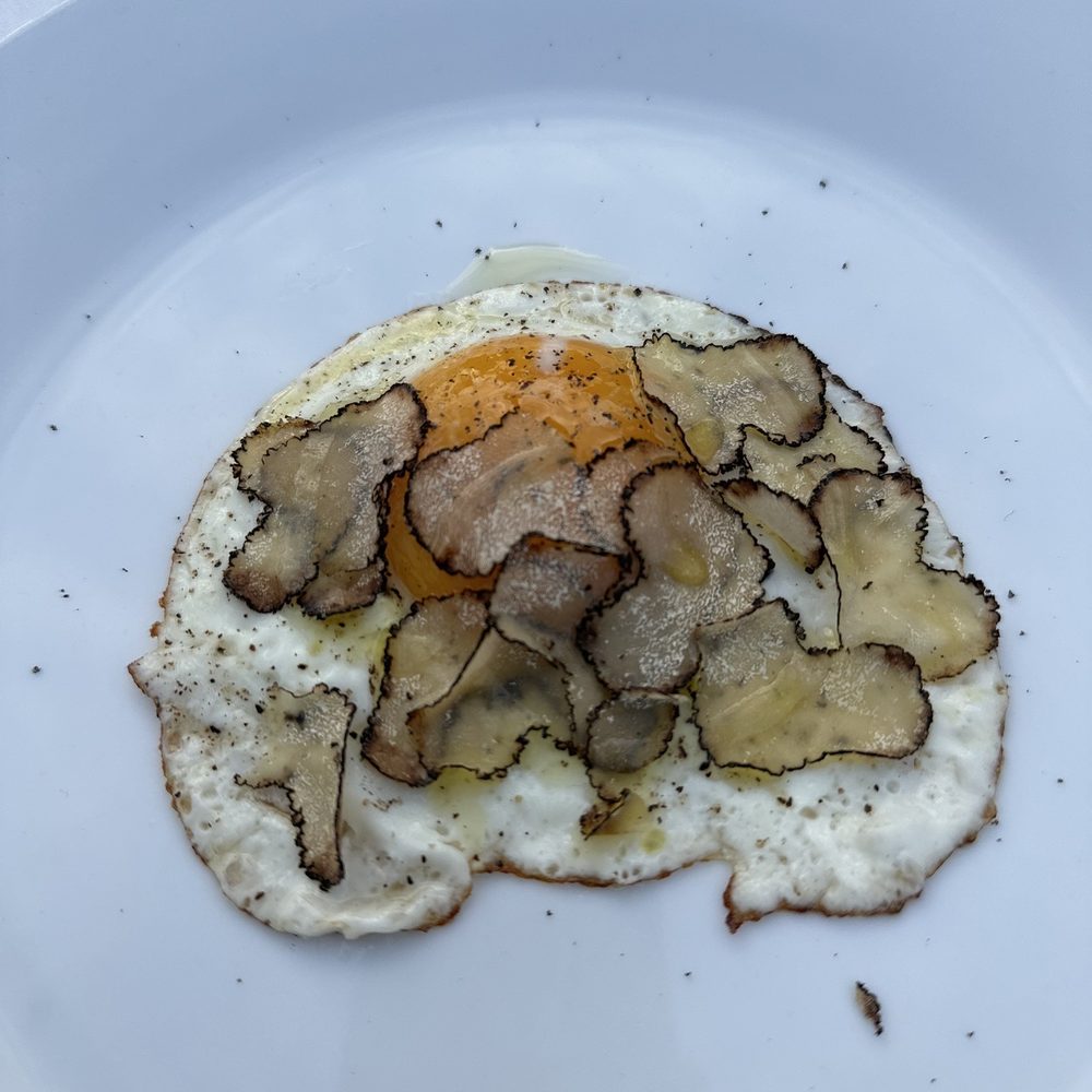 Sosta Cucina - a fried egg on a plate - Italian Near Me - Hermosa Beach, California Sosta Cucina - a fried egg on a plate - Italian Near Me - Hermosa Beach, California