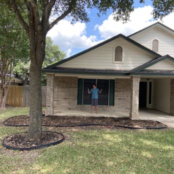 Silver Tree Care  - After - Tree Services Near Me