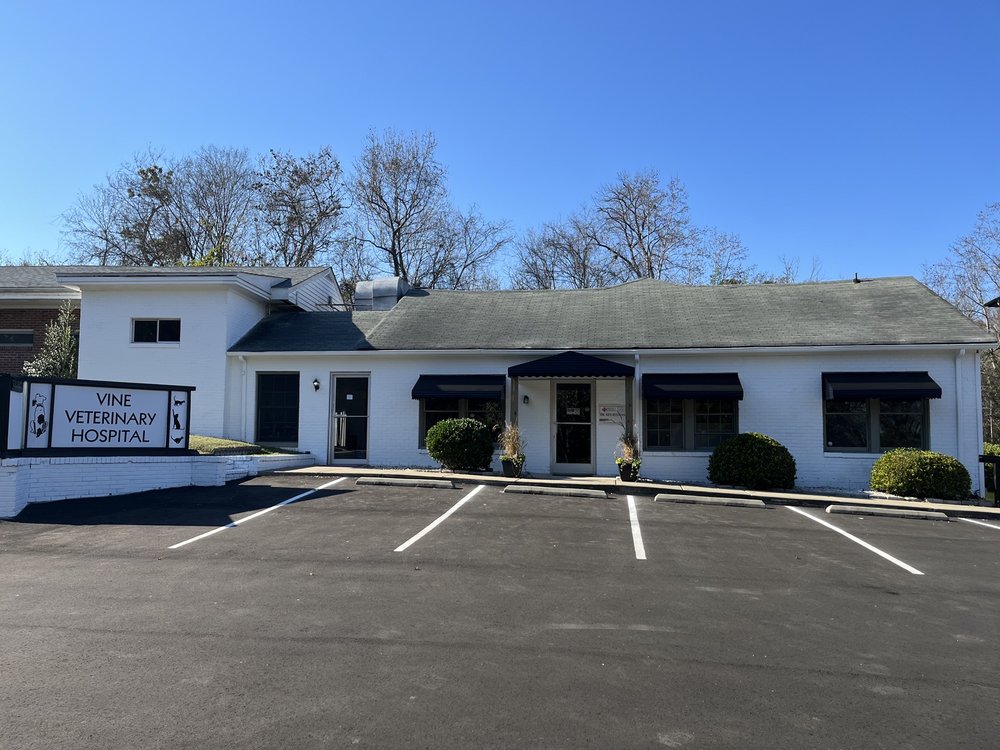 VINE VETERINARY HOSPITAL Updated October 2024 17 Reviews 1217 E
