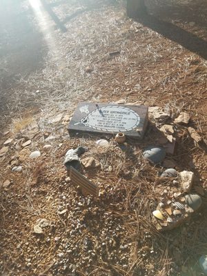 Grand Canyon Pioneer Cemetery by null
