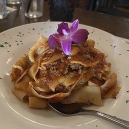 Bolognese Bolognese