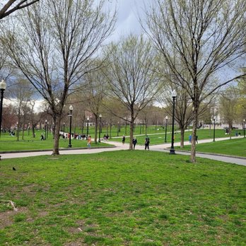 Boston Common - A public park with leafless trees, paved walkways, and people walking and gathering, with lamp posts and green grass. - Parks Near Me - Boston, Massachusetts