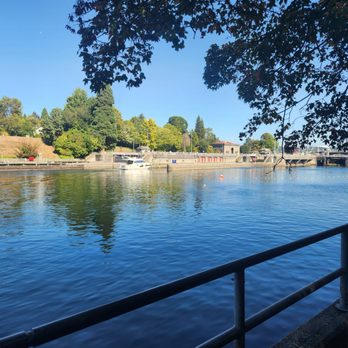 Ballard Locks Fish Ladder - View - Landmarks & Historical Buildings Near Me - Seattle, Washington