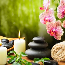Celestial Wellness and Healing