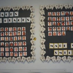 Island Orthodontics - Wall of fame.