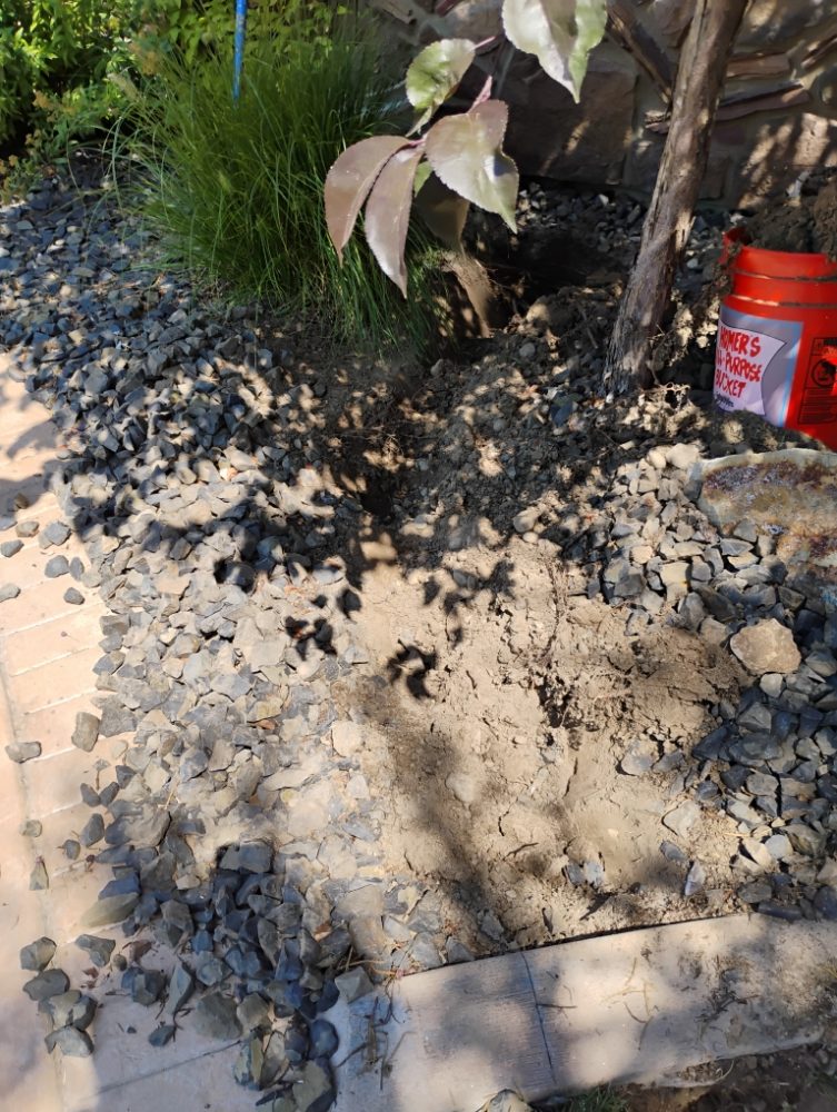 Slide of Spindrift Sprinkler Services