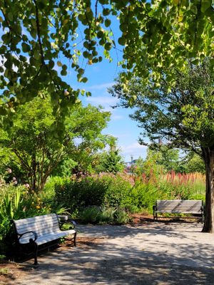 South Waterfront Park by null