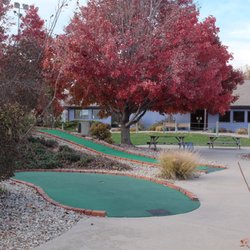 Wildcat Fitness & Fun - Fall Colors