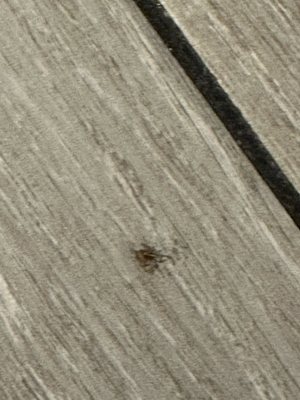 Clinton Hotel South Beach by null