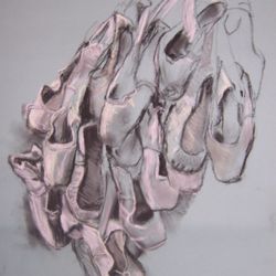 Pacific Motion Dance Center - A charcoal and pastel drawing I did of Kirsten's old ballet shoes