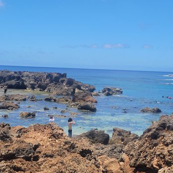 Shark's Cove - Beaches Near Me - Haleiwa, Hawaii Shark's Cove - Beaches Near Me - Haleiwa, Hawaii