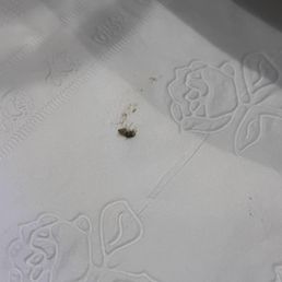 Mold fished out of my drink
