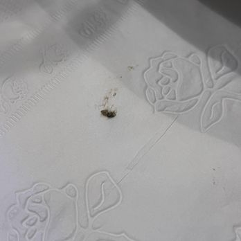 The Beach - Mold fished out of my drink - American Near Me - Riverside, California