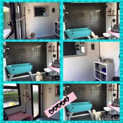 Waggs Spa and Boutique
