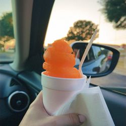 TC Shaved Ice