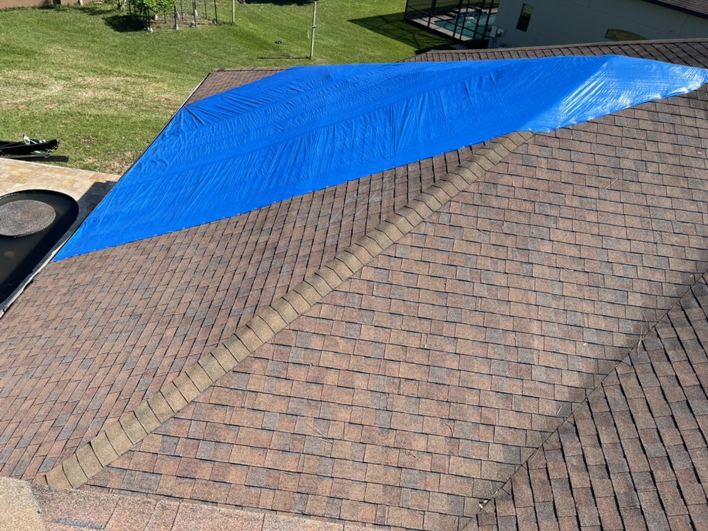 Slide of Blue Tarp Express