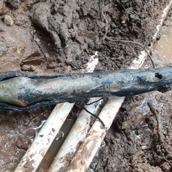 Benjamin Franklin Plumbing of North Austin