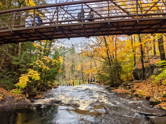 Arrowhead Provincial Park by null