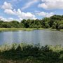 Photo of Lester Lorch Park