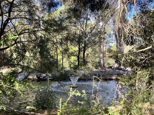 Healesville Sanctuary (Zoos Victoria) by null