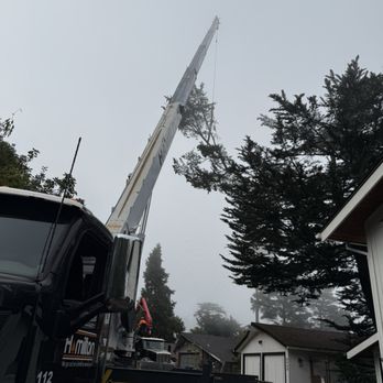 Hamilton Tree Service - Tree Services Near Me - Martinez, California