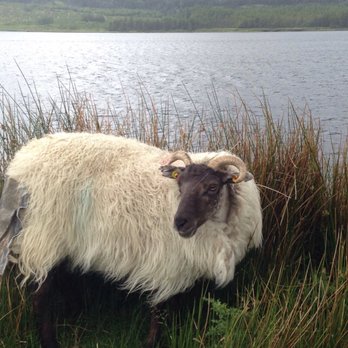 Connemara National Park - Museums Near Me - Letterfrack, G