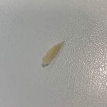 Jersey Mike's Subs - This was in my turkey sandwich - Sandwiches Near Me - East Hanover, New Jersey