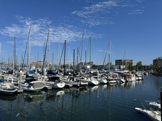 Marina Del Rey Marina by null