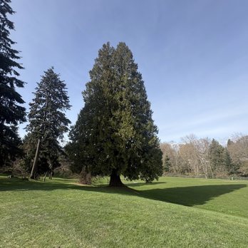 Beecher Park - Park - Parks Near Me - Burnaby, British Columbia Beecher Park - Park - Parks Near Me - Burnaby, British Columbia