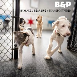 Bark and Play