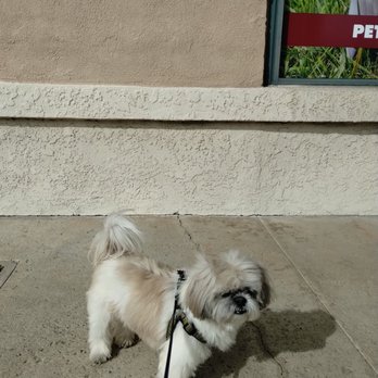PET DEPOT - Pet Groomers Near Me - La Verne, California
