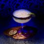 Photo of El Atoron Bar & Grill