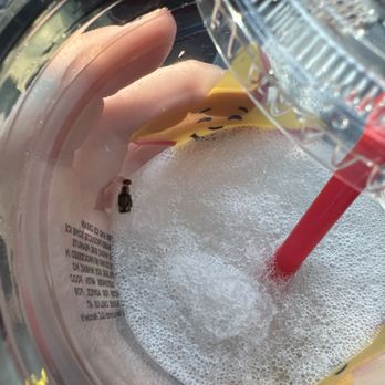 Carl's Jr - Bug in my frozen lemonade!!! - Fast Food Near Me - Fontana, California Carl's Jr - Bug in my frozen lemonade!!! - Fast Food Near Me - Fontana, California