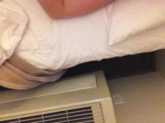 Humboldt Redwoods Inn by null