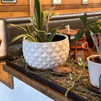 Lovin Spoonfuls Vegan Restaurant - Vegan Near Me - Tucson, Arizona