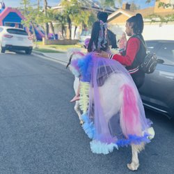 Omar's Pony Rental