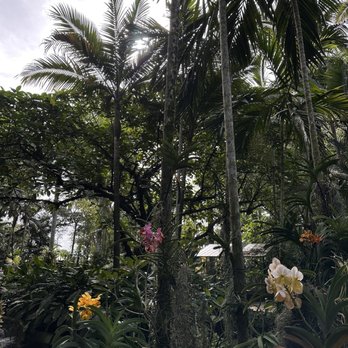 Flamingo Gardens - Botanical Gardens Near Me - Davie, Florida